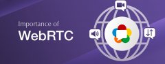 如何避免使用代理时WebRTC依旧泄露真实ip？附解决方案